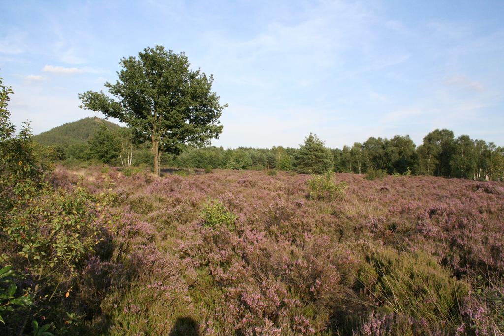 B&B Crijbohoeve Zutendaal Luaran gambar