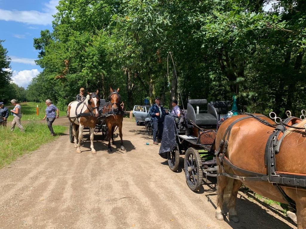 B&B Crijbohoeve Zutendaal Luaran gambar